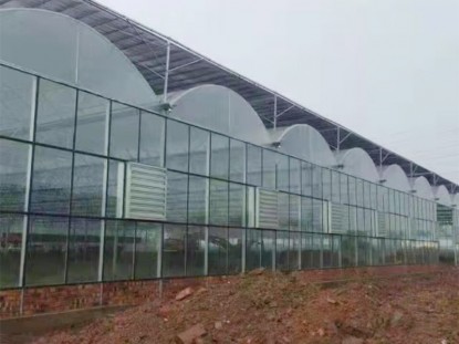 連棟薄膜溫室