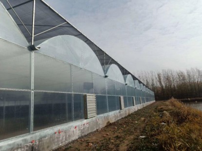 智能連棟薄膜溫室