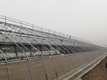 鍍鋅鋁日光溫室