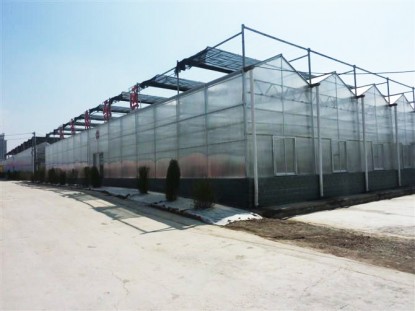 紋絡陽光板溫室