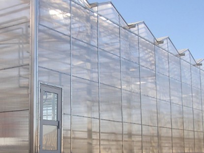 紋絡陽光板溫室