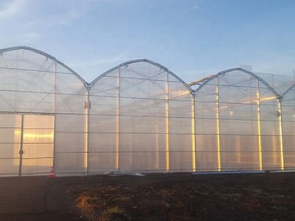 紋絡陽光板溫室