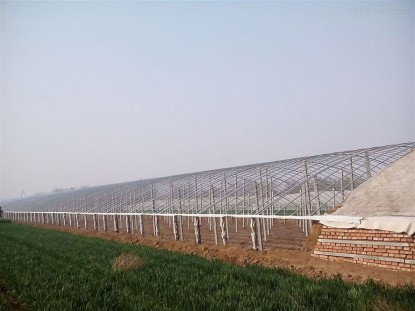 鍍鋅鋁日光溫室