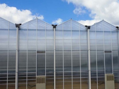 紋絡陽光板溫室