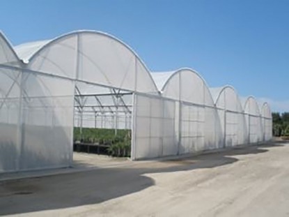 智能連棟薄膜溫室