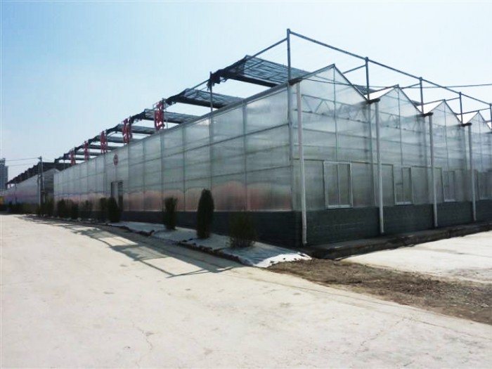 紋絡陽光板溫室