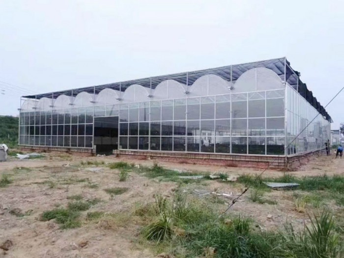 連棟薄膜溫室