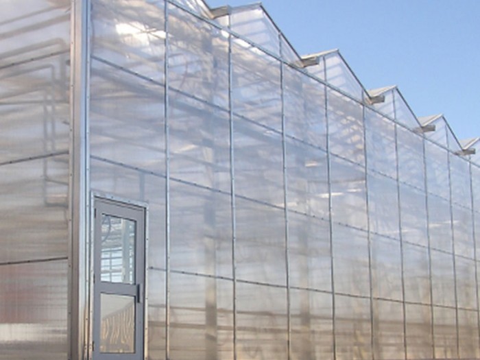 連體陽光板溫室