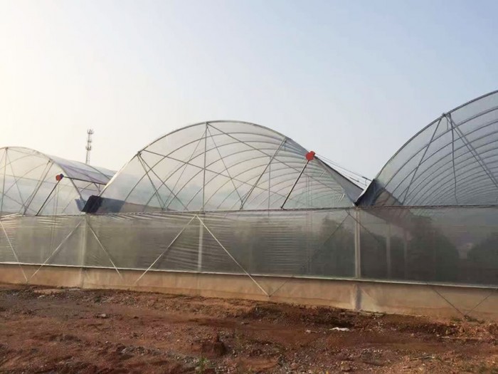 連棟薄膜溫室