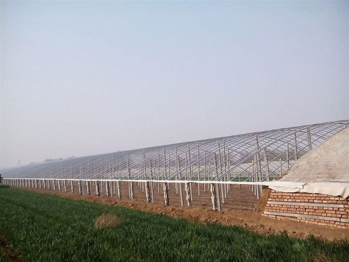 幾字鋼日光溫室