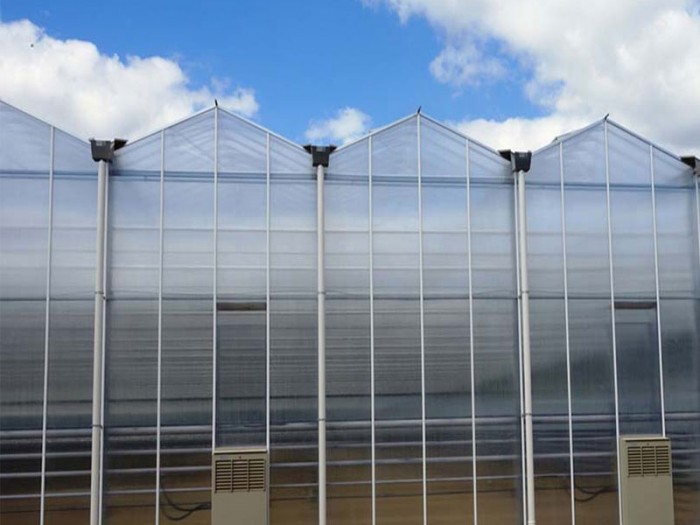 單體陽光板溫室