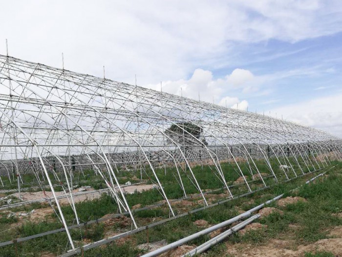 幾字鋼日光溫室