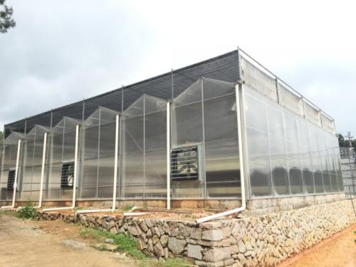 紋絡陽光板溫室