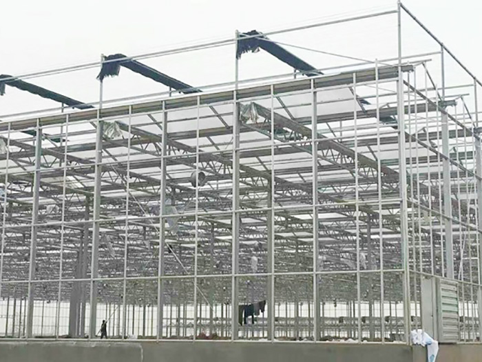 工程案例-青州市澤源農(nóng)業(yè)科技有限公司