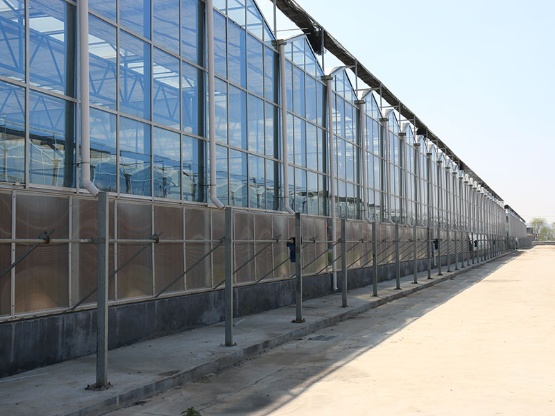 工程案例-青州市澤源農業科技有限公司